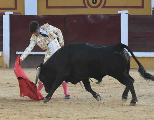 portaltaurino's tweet photo. Badajoz erales de Bernardino Píriz 5° de vuelta, para Darío Romero ovación, Lenny Martins oreja, José Antonio de Gracia silencio, Alberto Donaire silencio, Adrián Monroy oreja, Manuel León oreja. Manuel León fue el ganó el capote de paseo que donó El Pilo @portaltaurino https://t.co/SQ7Pw21vQj