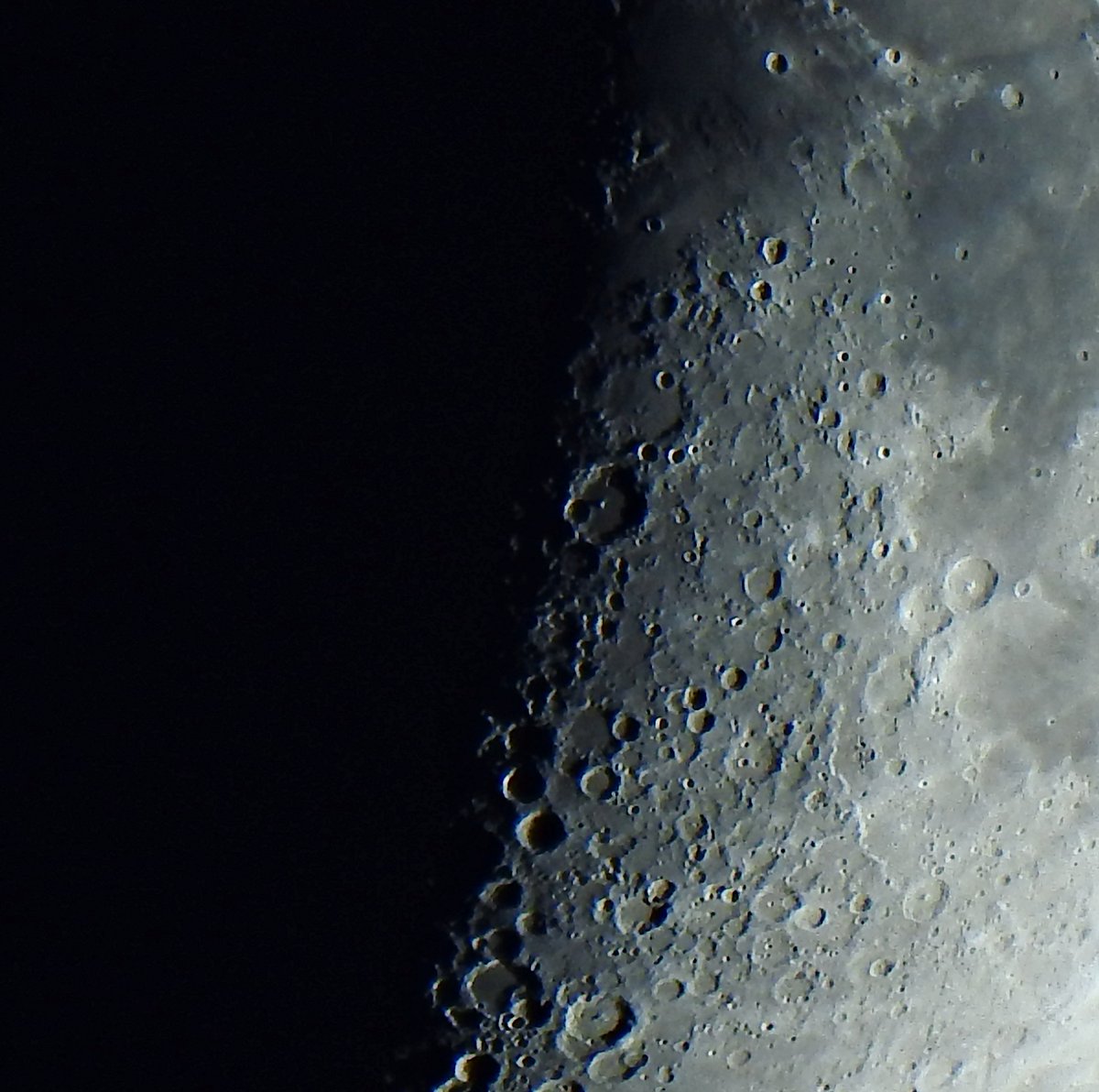 toro_an's tweet image. 