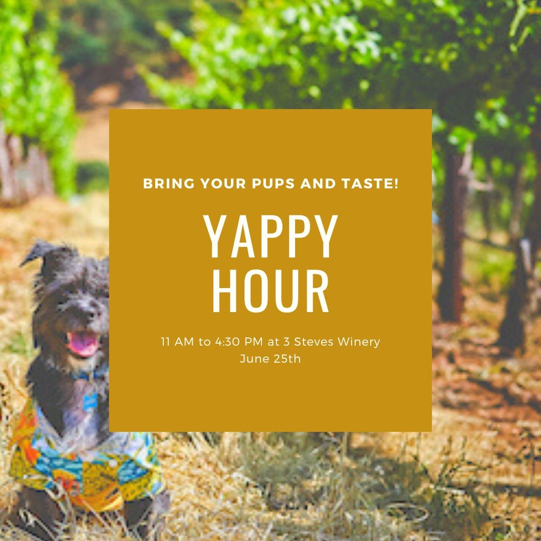 TODAY! 3 Steves Winery in collaboration with Valley Humane Society are pleased host this years Yappy Hour. #LivermoreValley #Livermorevalleywine #CaliforniaWines #WineCountry #LVwinecountry #LVwine #Wine #WineTasting #BayAreaWine #VisitCalifornia #VisitTriValley