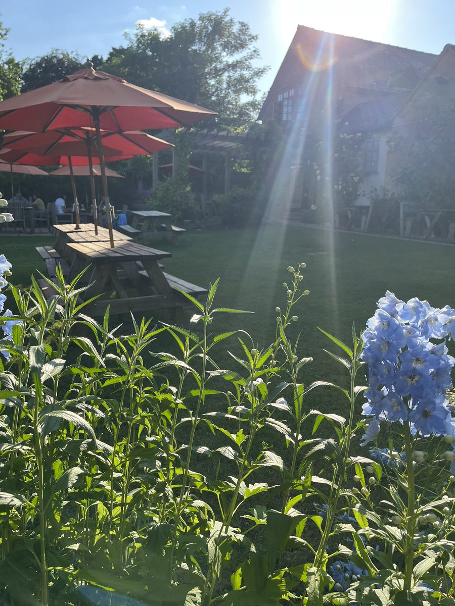Fabulous in an English country garden #englishcountrygarden #cotswolds #thecotswolds #ebrington #chippingcampden #pubgarden #greatpub #june #cotswoldpub