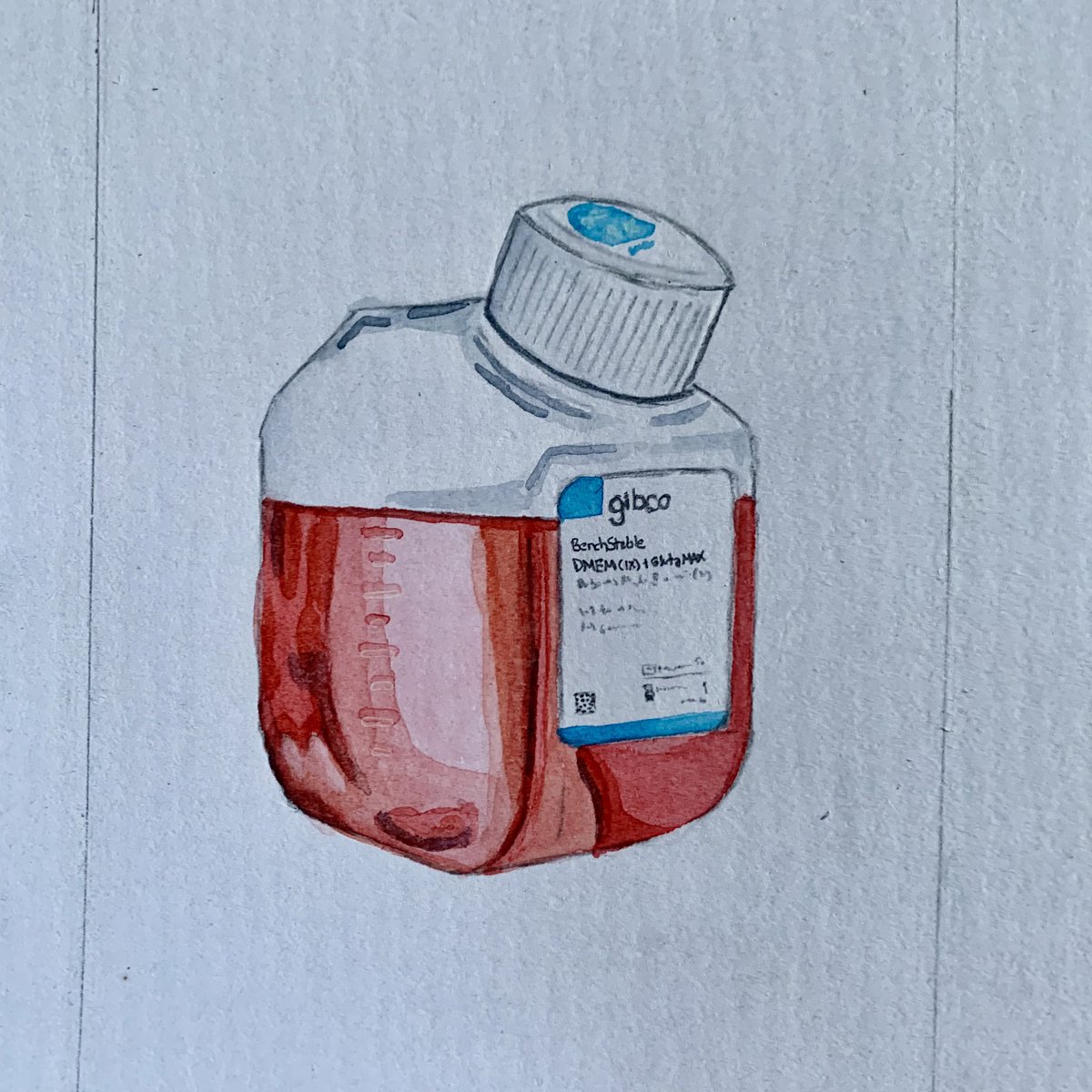 sketchscience's tweet image. Are you a cell culture enthusiast? Then you probably know the distinctive Gibco media bottles that hold colorful cell culture media. These bottles are designed to be ergonomic, easy to use, and contamination-resistant. I was inspired by their shapes and shades to create this…