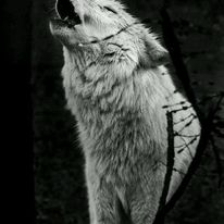 “The wolf that one hears is worse than the orc that one fears”