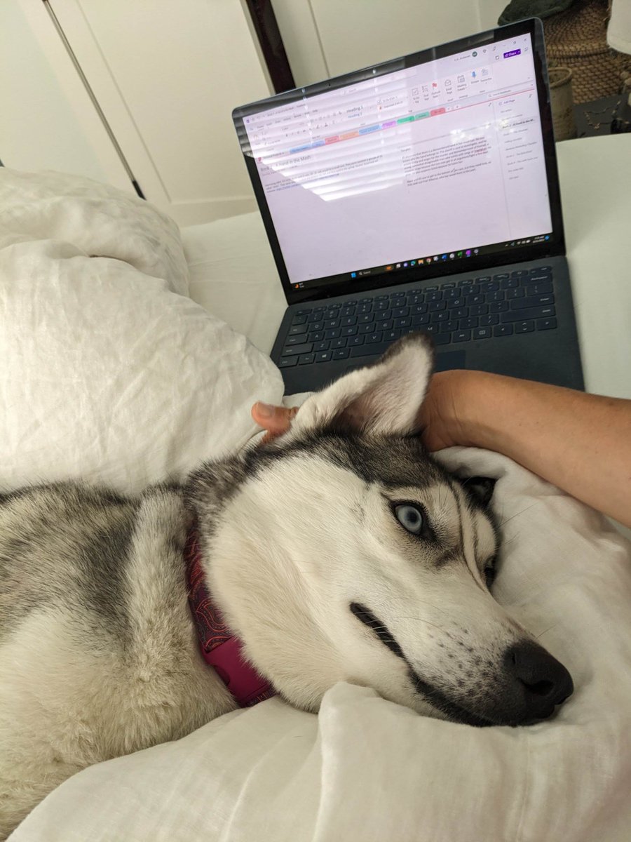 E_R_A_writes's tweet photo. "Hey momma! Whatcha doin', Momma? Momma! Look at meeeee!!!!!" #HuskyTwitter #authorcommunity #writingwithdogs https://t.co/vGmNbLwwU4