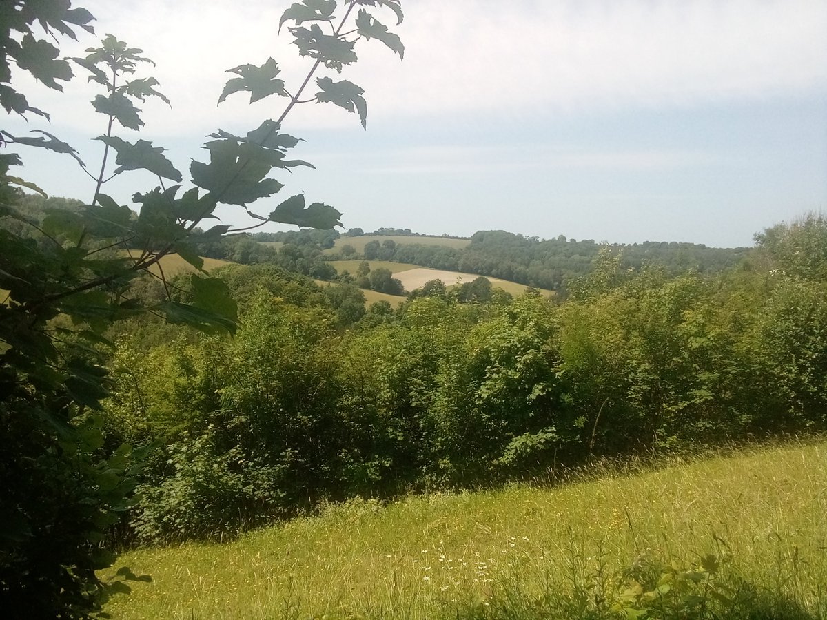 Gorgeous views on our five mile Woldingham walk today for #Trees4Croydon