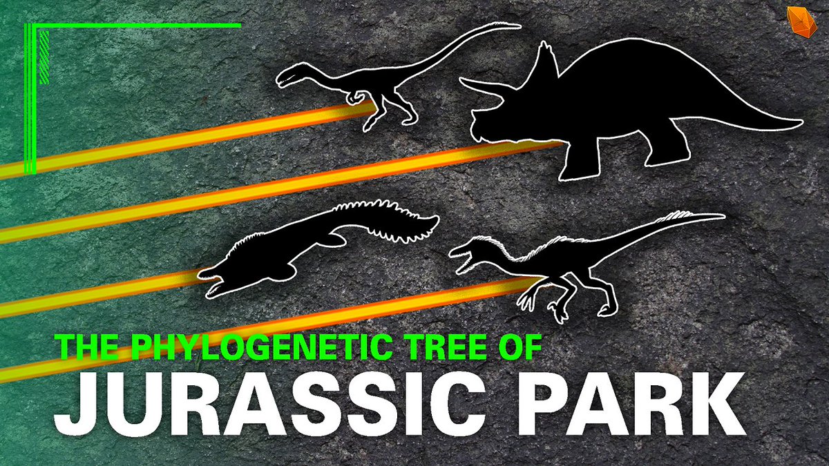 The Phylogenetic Tree of Jurassic Park

youtu.be/g_sEr6iqLr8

#JurassicPark #JurassicPark30thAnniversary #JurassicJune #BringBackJWRPG #PhylogeneticTree