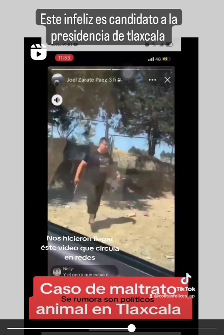 Excandidato del Partido Verde Ecologista presume que asesina a un perro en redes sociales.

El vídeo que está circulando lo grabó y difundió su hermano que aparece manchado de sangre.

A pesar de que la denuncia ciudadana comenzó el día de ayer aún no hay postura del PVEM.