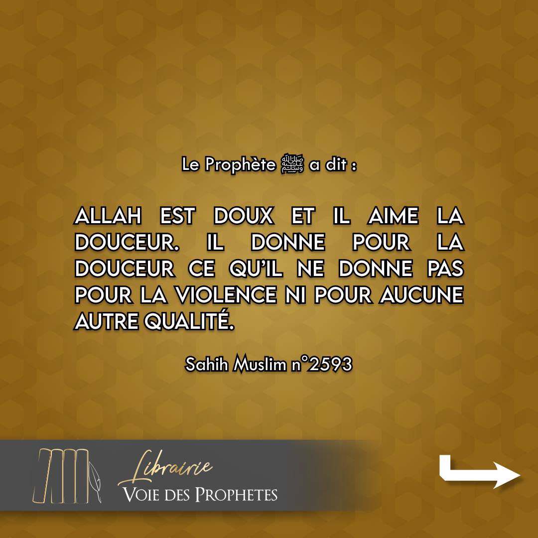 Librairie_Voie_Des_Prophetes (@Librairie_VDP) on Twitter photo 2023-06-25 17:25:30