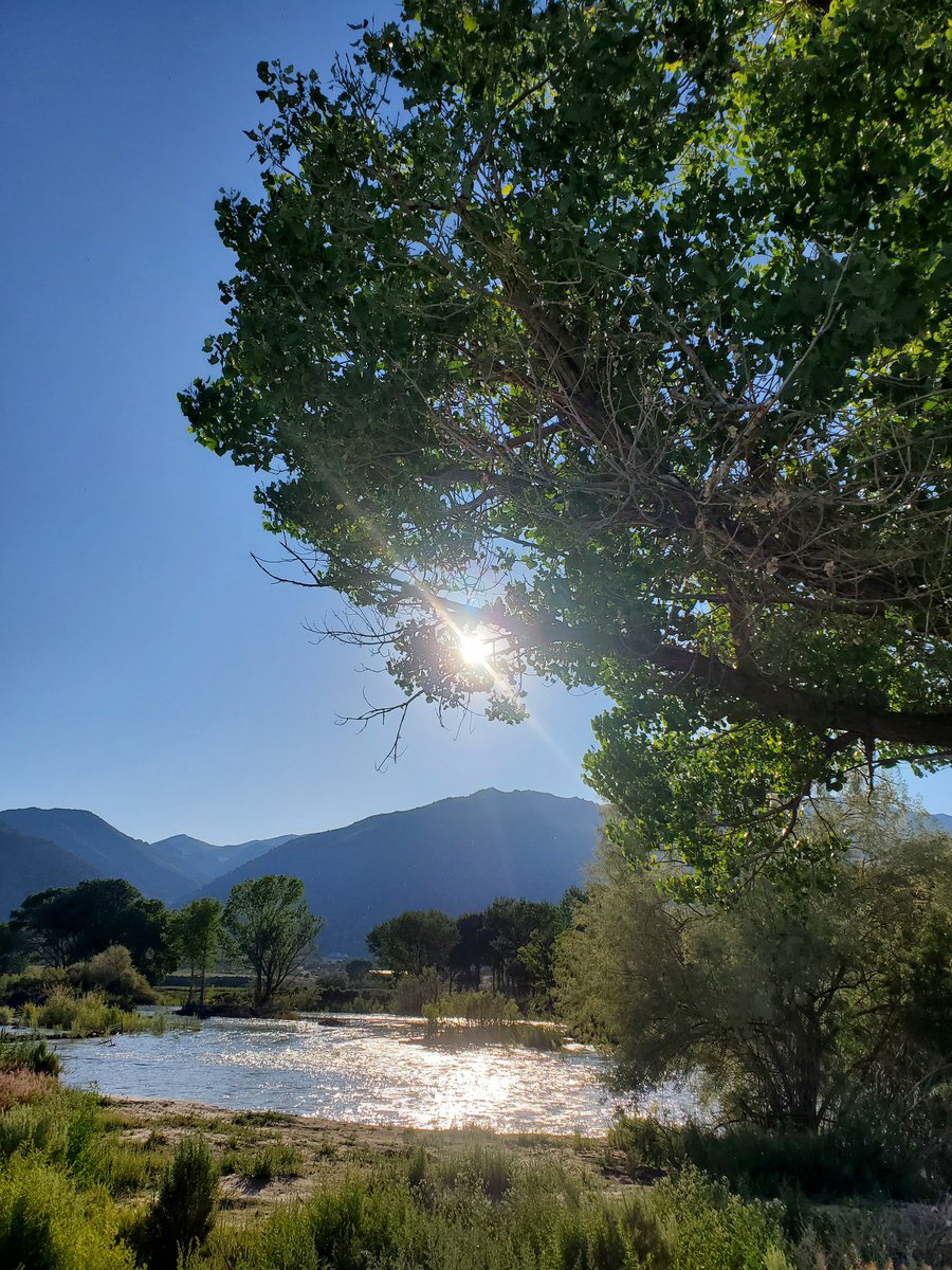 🧭Grant⏳️💙💚 tweet media