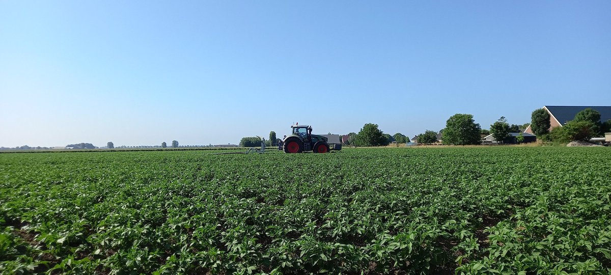 Novifarm tweet media