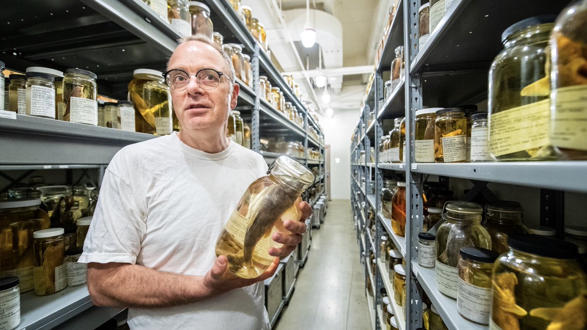 Bell Museum (@bellmuseum) on Twitter photo The Bell’s Curator of Fishes, @erimystax, is retiring this year—while we’re sad to see him go, we’re so grateful for the legacy of inquiry, mentorship, and curation he will leave behind. Read more at: bellmuseum.umn.edu/blog/saying-fa… The Bell’s Curator of Fishes, @erimystax, is retiring this year—while we’re sad to see him go, we’re so grateful for the legacy of inquiry, mentorship, and curation he will leave behind. Read more at: bellmuseum.umn.edu/blog/saying-fa…