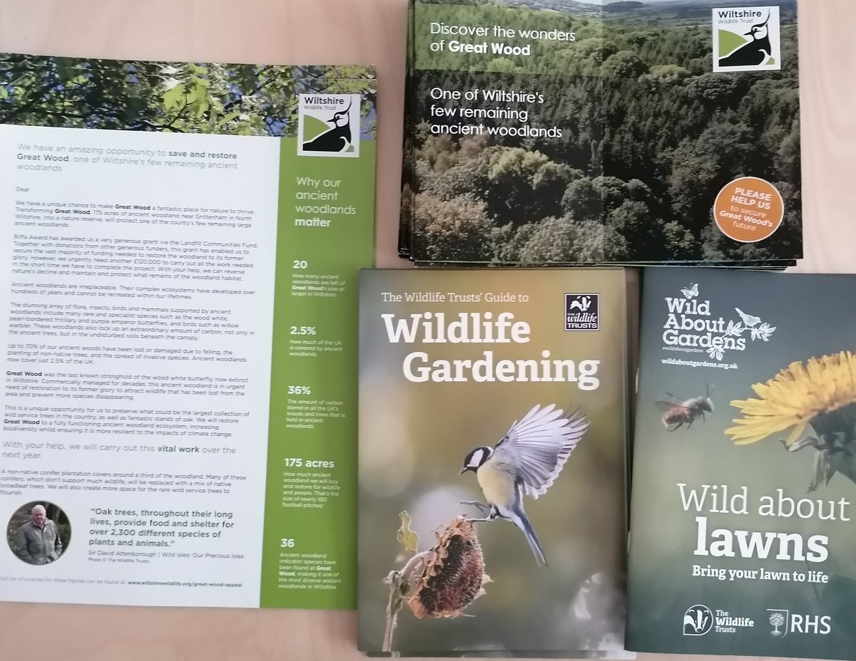 dancowen74's tweet photo. This Wednesday 28th &amp; Thursday 29th June is @TSB #Swindon Animal themed #bakesale raising funds for @WildlifeTrusts why not pop in Branch for Cake! #tsb #tsbpride #charity #lifemademore @WiltsHour @WiltsWildlife #community #cakesale Click the QR Code to donate #justgiving https://t.co/52gf57ev7k