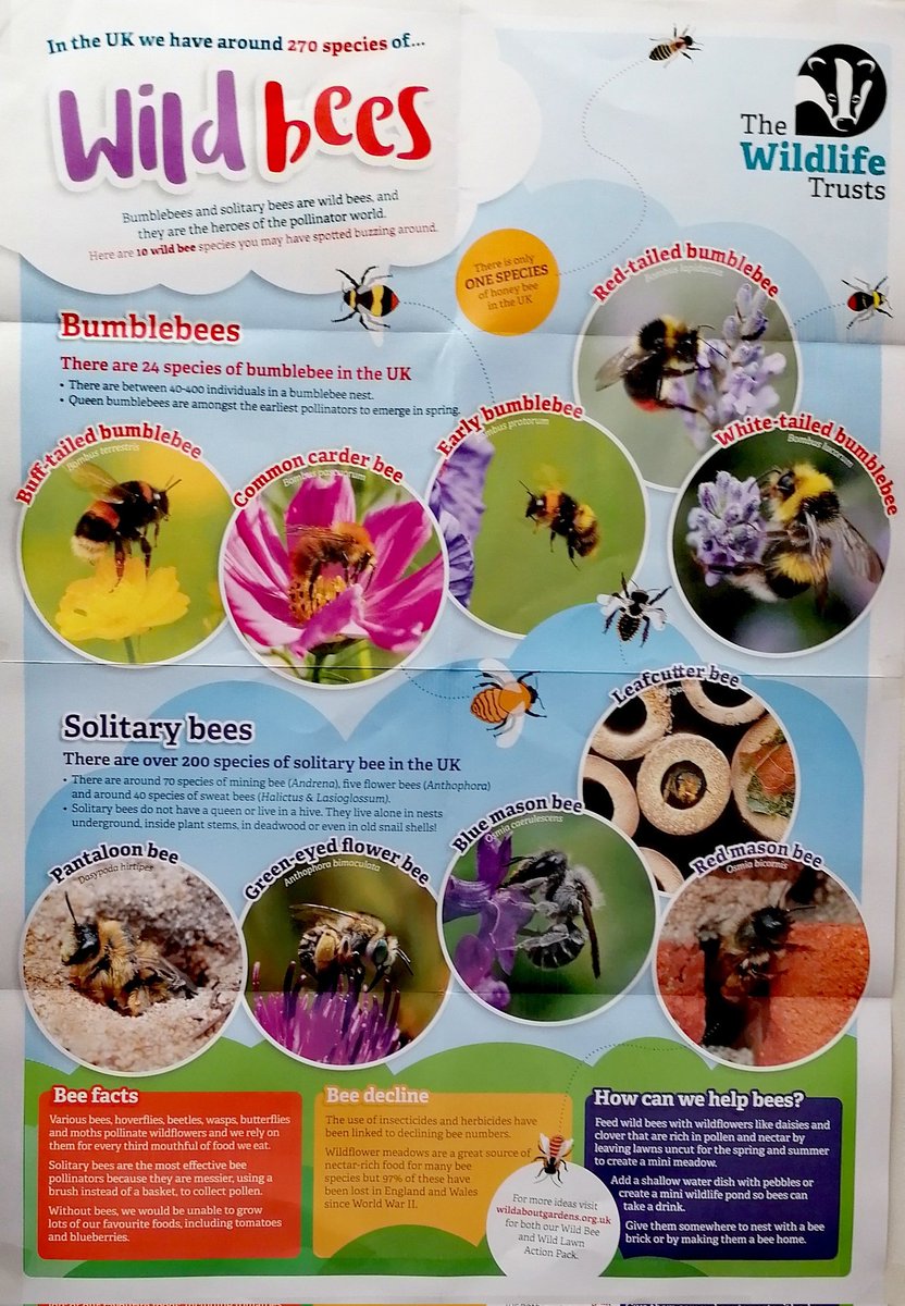 dancowen74's tweet photo. This Wednesday 28th &amp; Thursday 29th June is @TSB #Swindon Animal themed #bakesale raising funds for @WildlifeTrusts why not pop in Branch for Cake! #tsb #tsbpride #charity #lifemademore @WiltsHour @WiltsWildlife #community #cakesale Click the QR Code to donate #justgiving https://t.co/52gf57ev7k