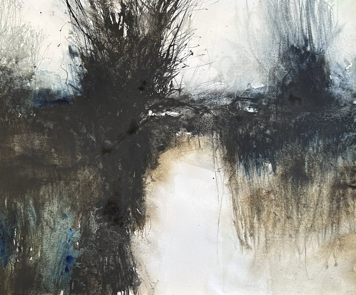 More monochrome stuff… ‘Dark Wetland V’ Watercolour, 29x36cms.