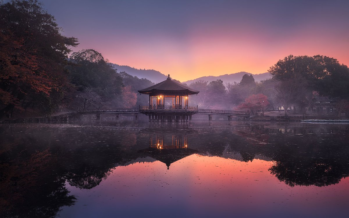 Laura Gómez tweet media