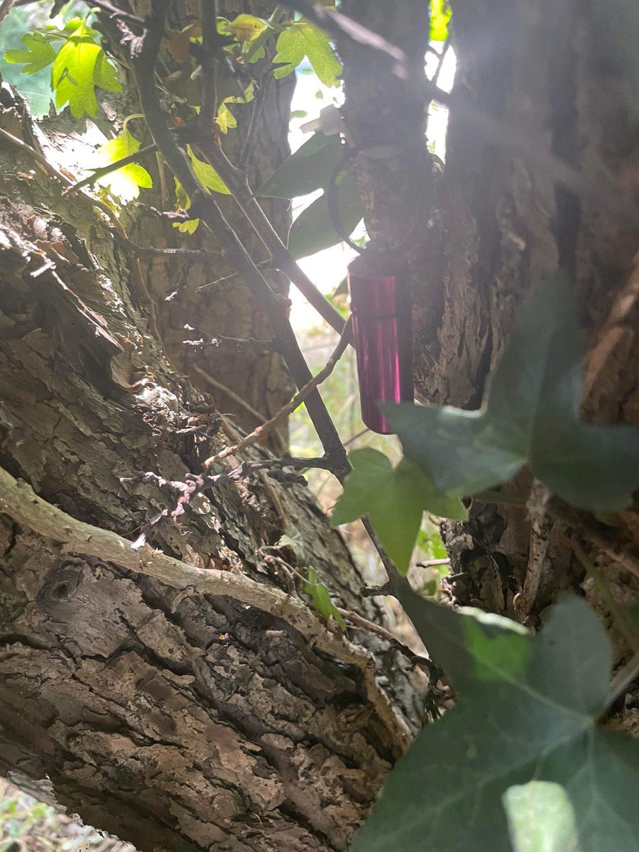 romfordrunner's tweet photo. Sometimes, a long #walk is as good for the mind as a run. We found lots of #geocache, visited a windmill #Rayleighwindmill and had a nice time in the #woods 🌳 https://t.co/GnHJmt7xJu