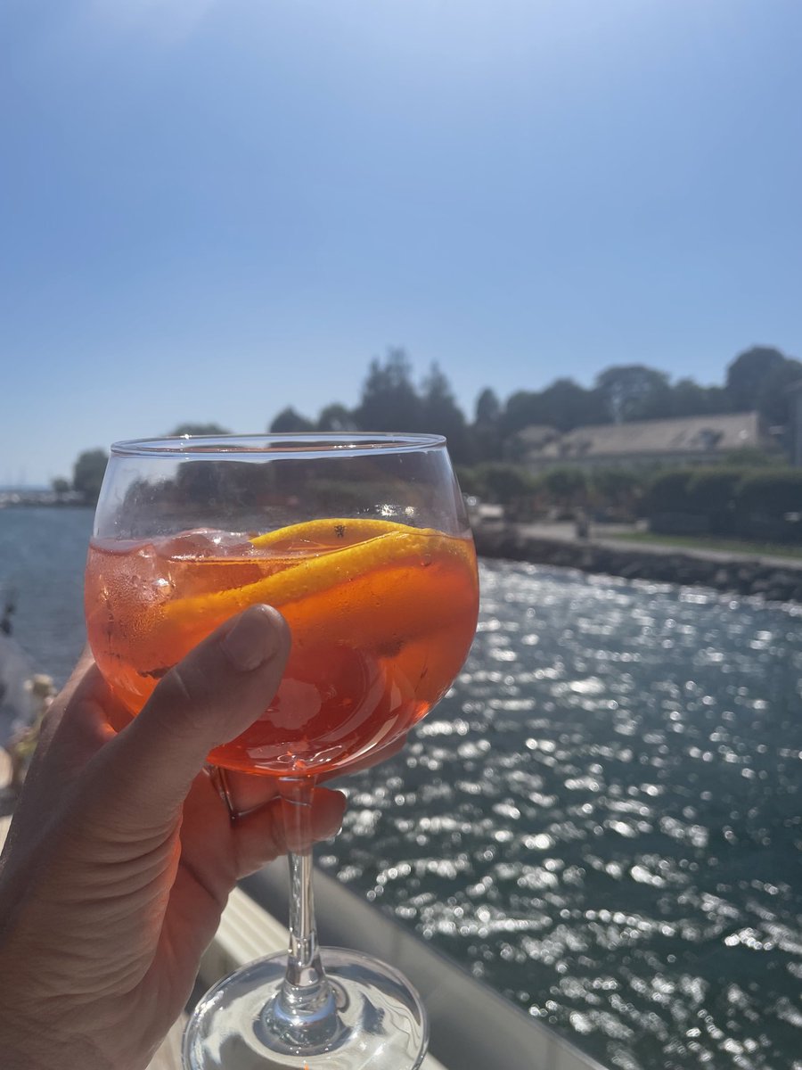 JudithSStirling's tweet image. A day on the lake does wonders to feeling better. #laketherapy #mentalhealth #lacleman #suisse