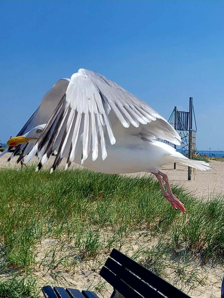 Haben einen spontanen Tag am Meer eingelegt. 🌊 🏖☀️🍦
#Nordsee
#Schillig
#Wangerland