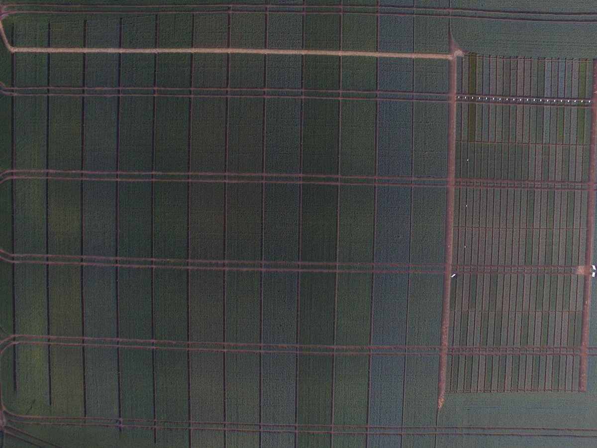 2 days to go till the Somerset #Basf/#Cmp trials event