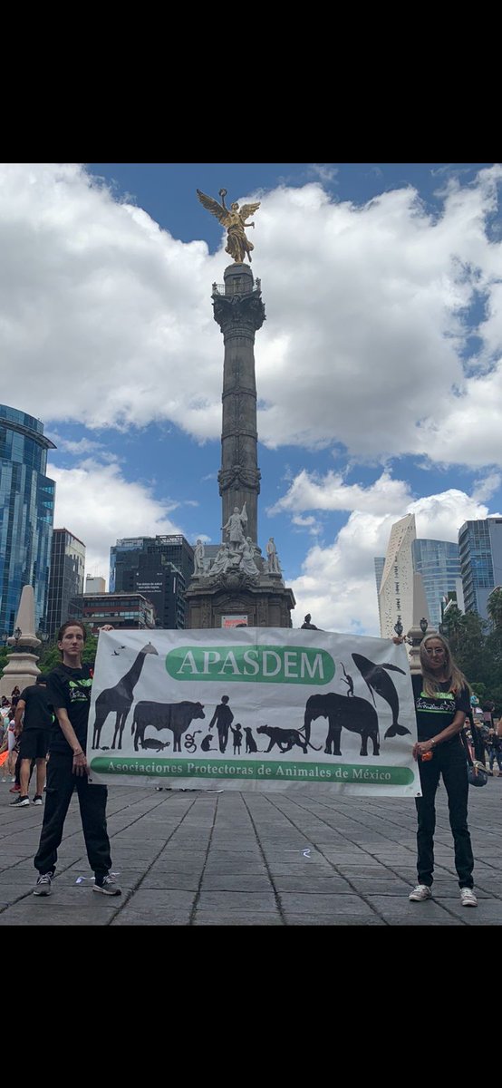 APASDEM's tweet photo. #MarchaPorLosAnimales #Mexico #Animales #MaltratoAnimal #Apasdem por Ellos! https://t.co/W9Y1kakrwW