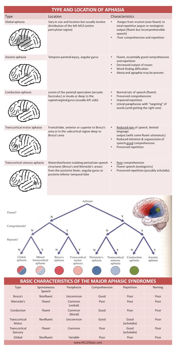 Medical_MD1's tweet image. FlashNote📝

Aphasia🧠

Disturbance of language due to brain damage which affects comprehension (listening &amp;amp; reading) and/or expression (speaking &amp;amp; writing)

It’s divided into fluent or non-fluent. Then it’s divided by whether deficits in repetition, comprehension, and naming

.