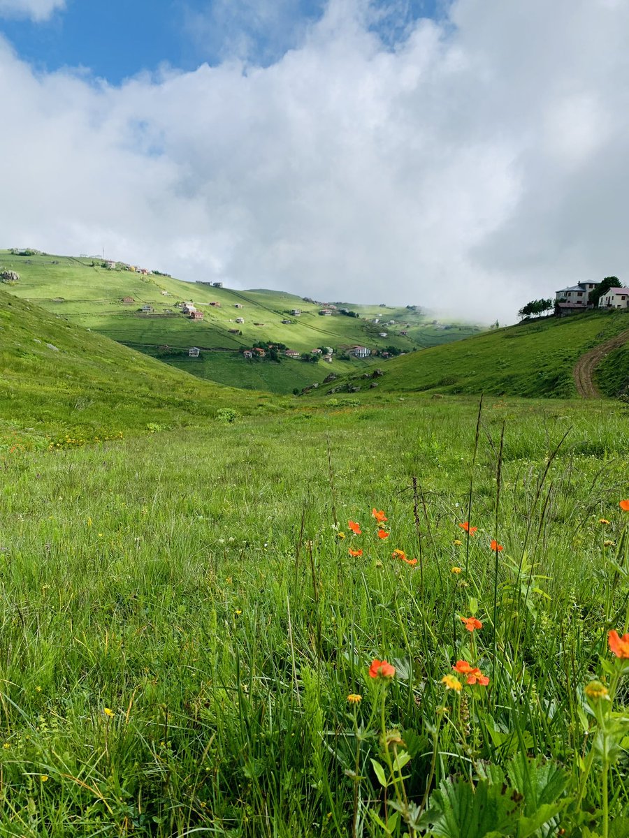 Yeşilin en yeşil olduğu zamanlar… Sultanmurat Eğrisu ve Sarıkaya civarı
📷<a href="/bilinginci/">İnci Bilgin</a>