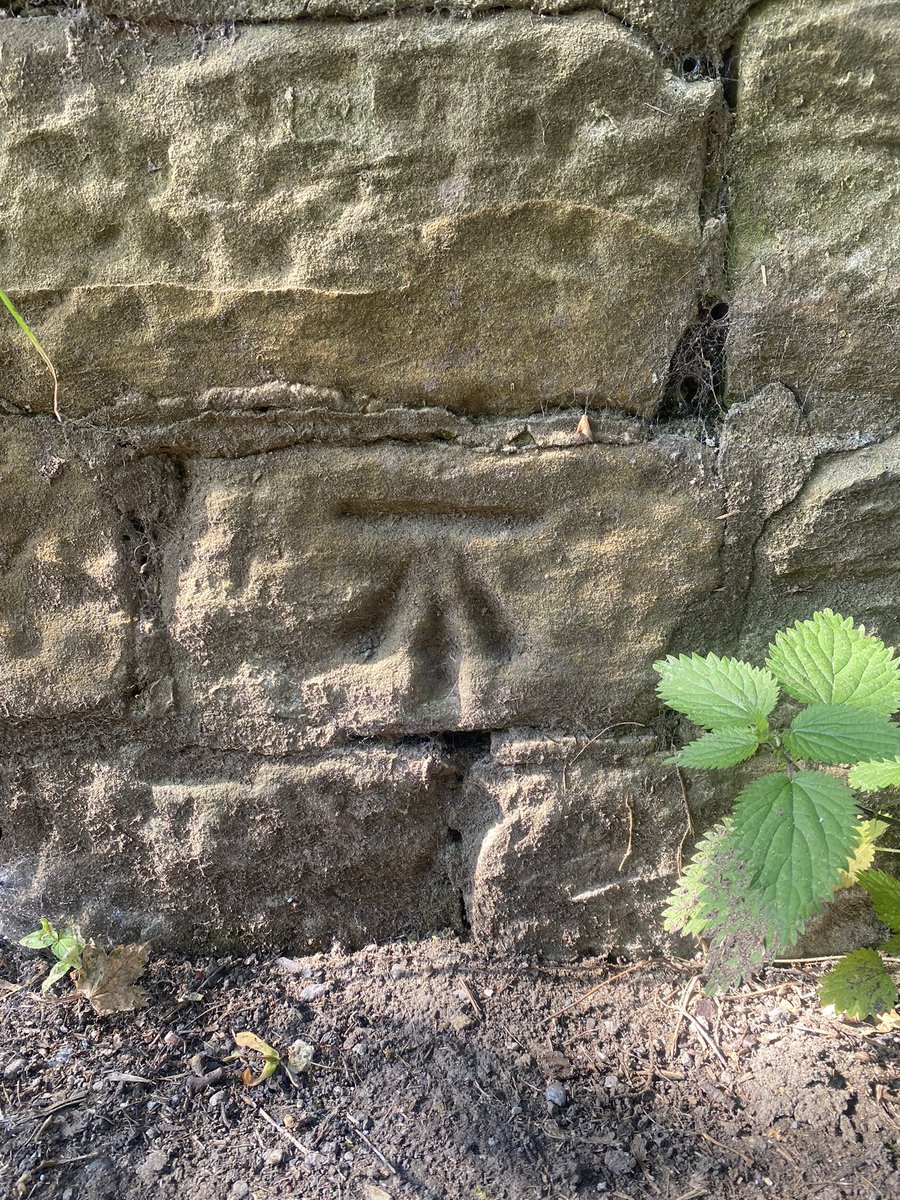 HellingtonBoots's tweet image. Todays OS cut mark finds. 
See if you can spot them on the wider angle pics. 🧵

Sike Lane, Walton.
@bmdorguk #LegsAndLaces 🥾 #CutMark