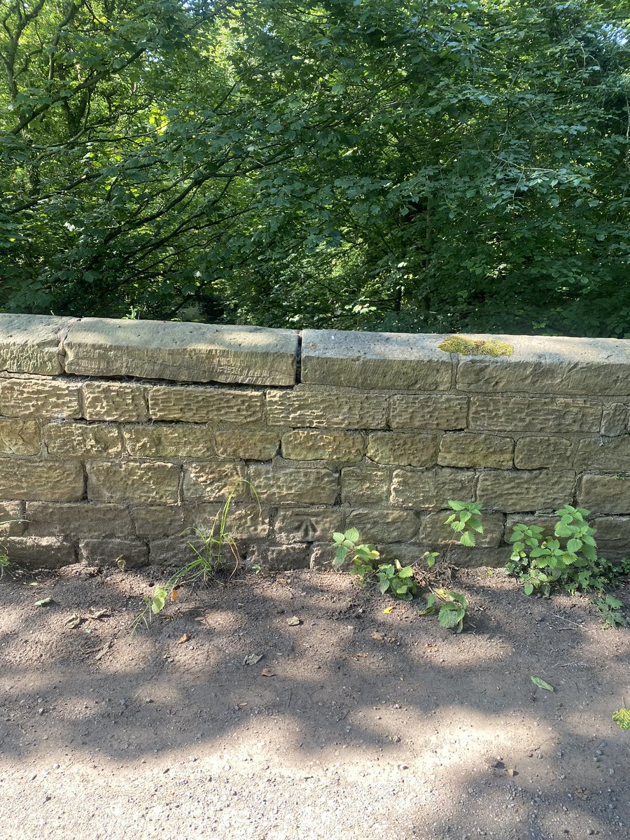 HellingtonBoots's tweet image. Todays OS cut mark finds. 
See if you can spot them on the wider angle pics. 🧵

Sike Lane, Walton.
@bmdorguk #LegsAndLaces 🥾 #CutMark