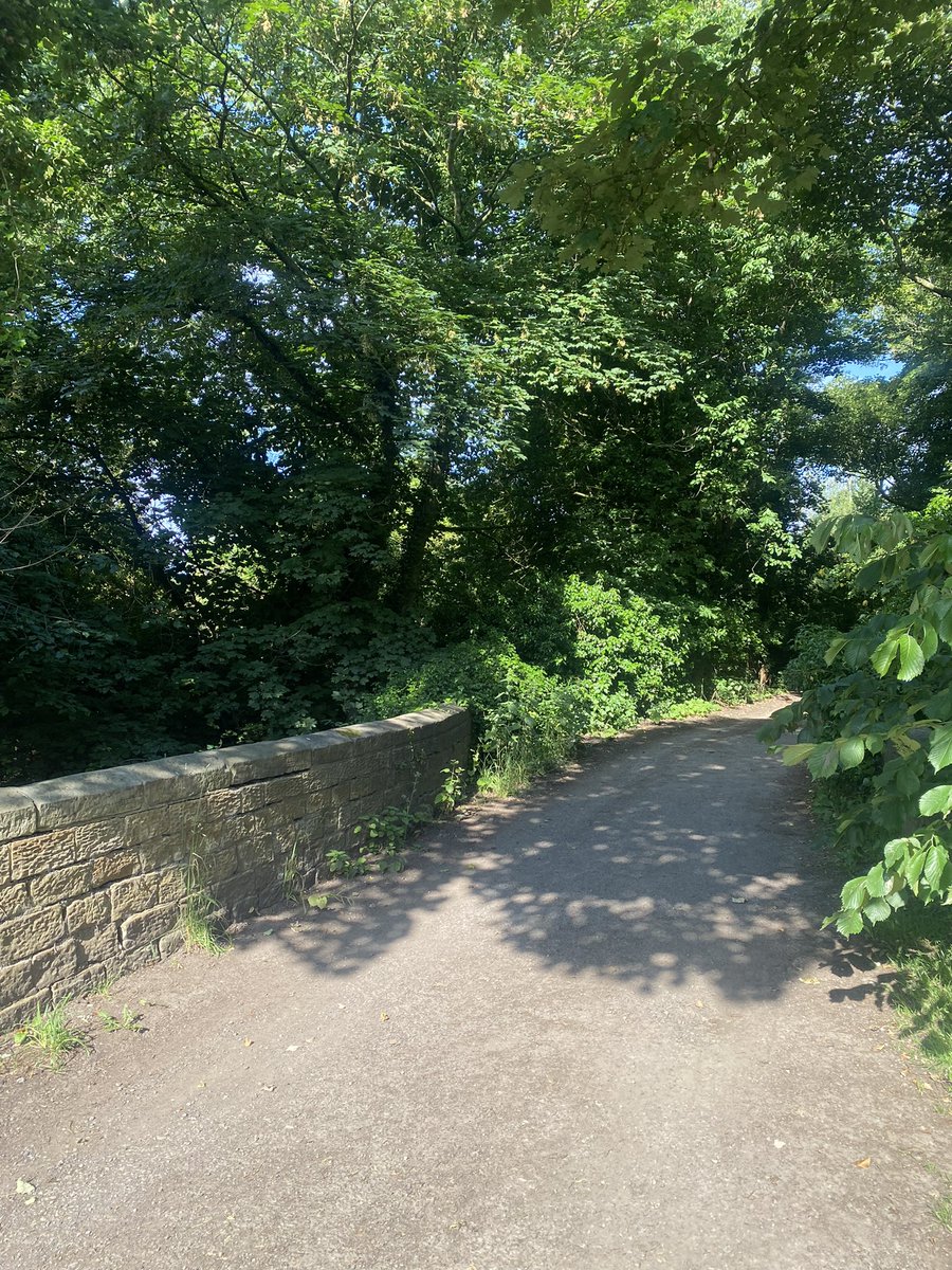 HellingtonBoots's tweet image. Todays OS cut mark finds. 
See if you can spot them on the wider angle pics. 🧵

Sike Lane, Walton.
@bmdorguk #LegsAndLaces 🥾 #CutMark