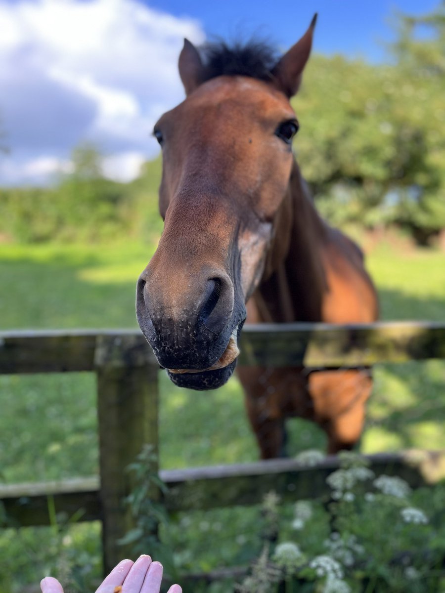 Sarah McGrath tweet media