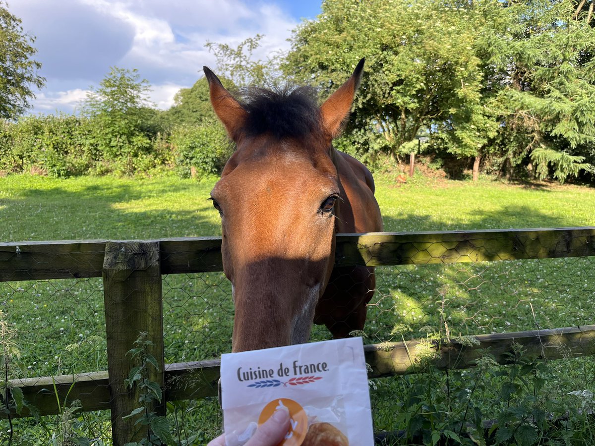 Sarah McGrath tweet media