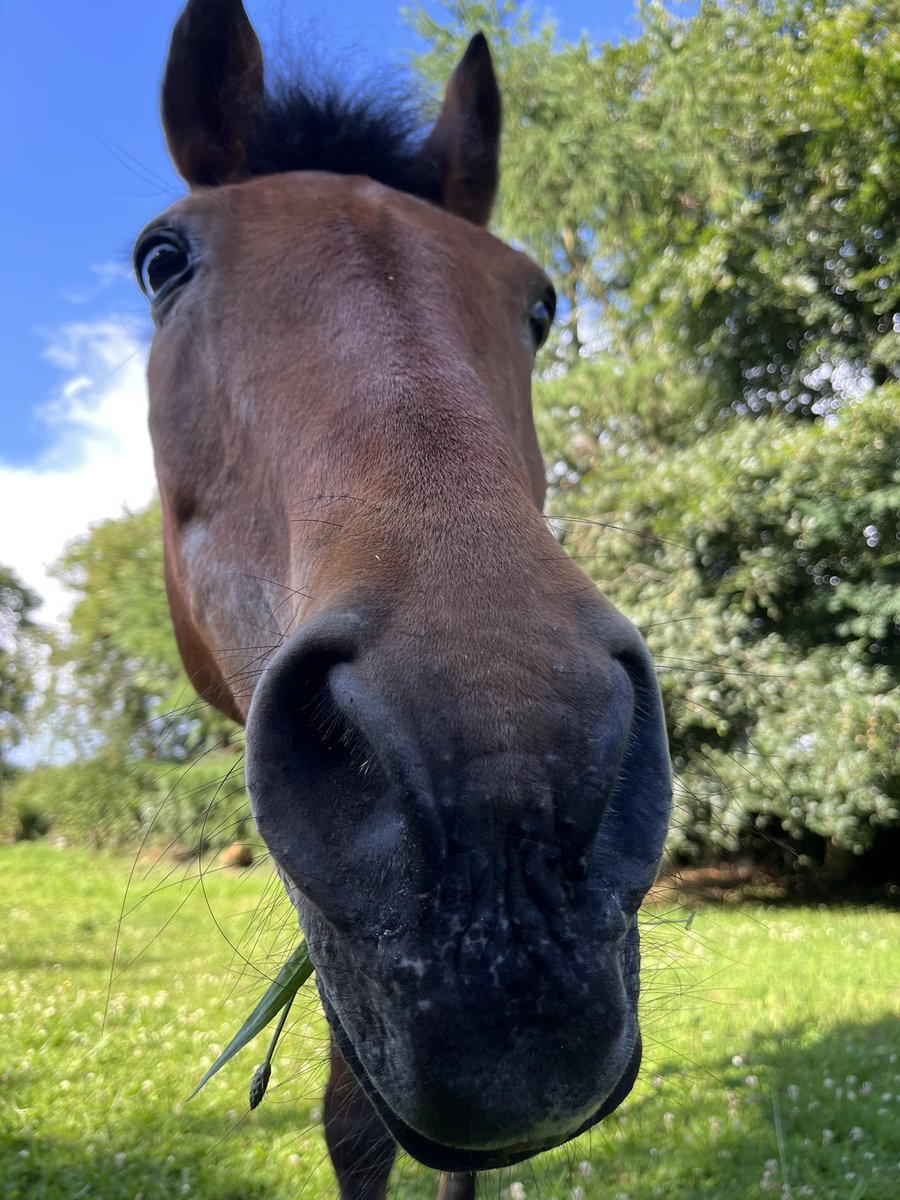 Sarah McGrath tweet media