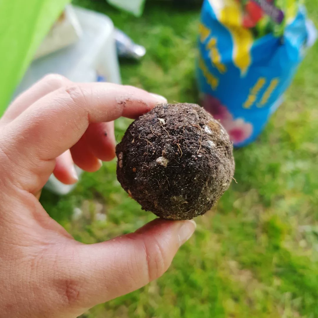 carriejoyhouse's tweet photo. Making seed bombs at Manchester Festival of Nature on day 25 of #30DaysWild π± #mfon #seedbombs #wildflowerseeds #natureactivities https://t.co/1xYzKN9aui
