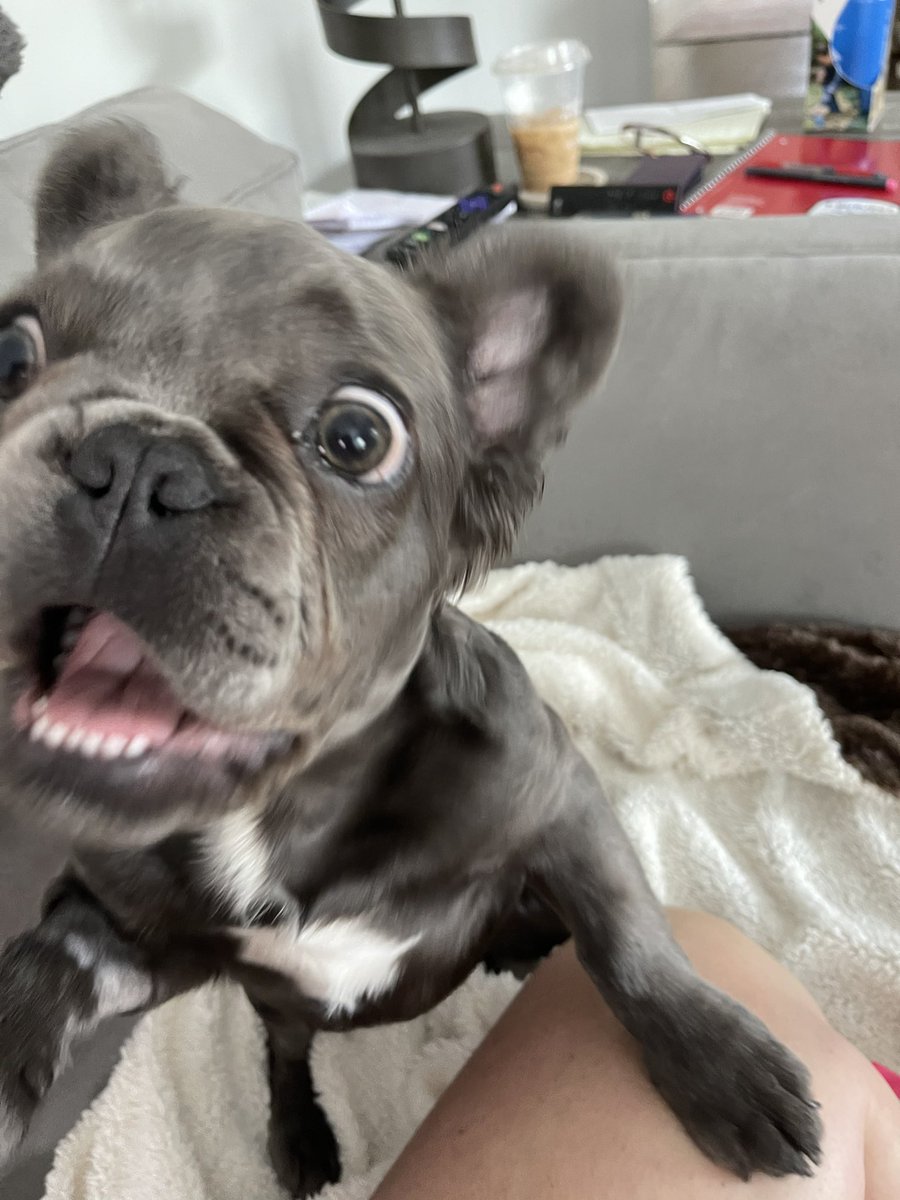 Happy Sunday!  May your day be as silly as Tator Tot ;)