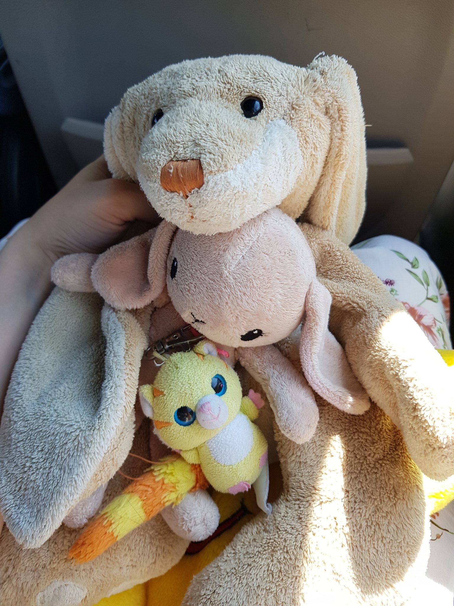 Cloud b hugginz plush puppy medium top