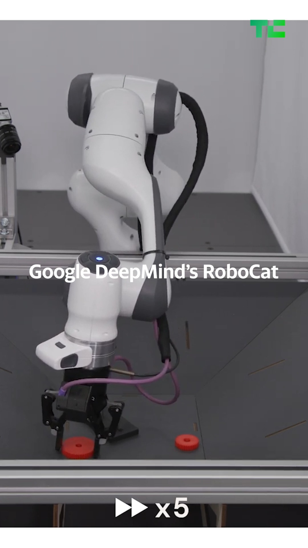 DeepMind's RoboCat learns to perform a range of robotics tasks