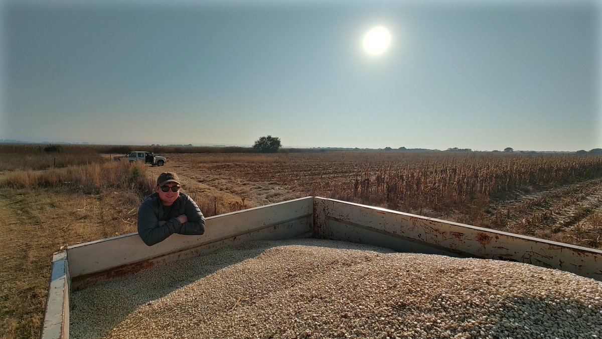 VentGrow's tweet photo. #VentGrow #Farms #Maize 2023 #HarvestTime begins https://t.co/tBEPa9szcw
