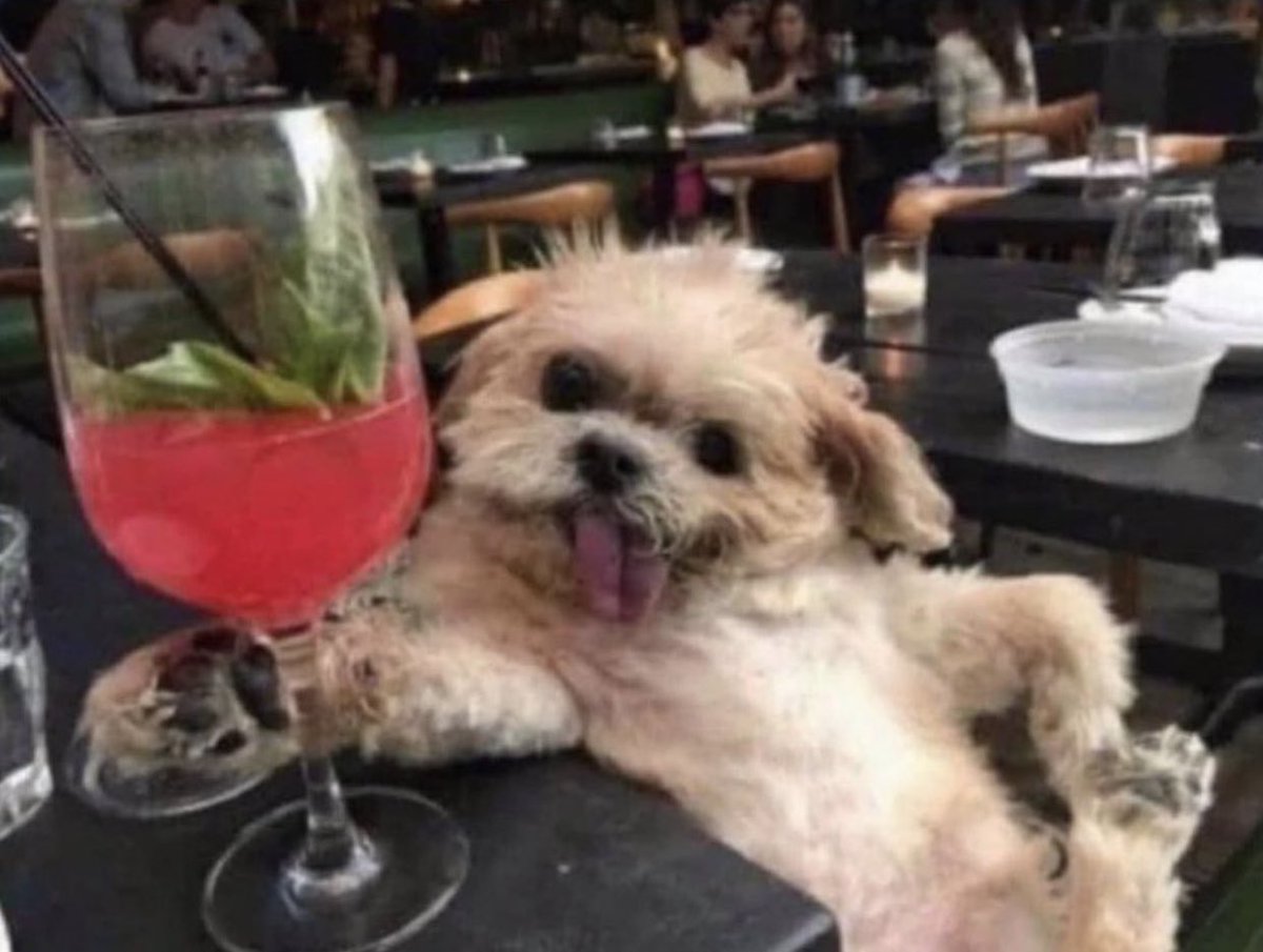 I got that dog in me…