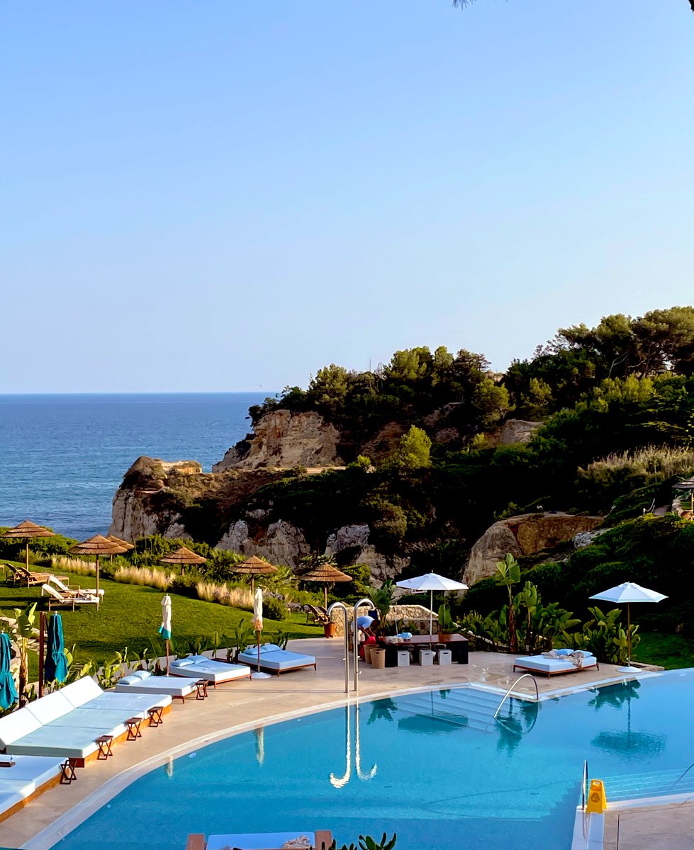 Digwoods (@digwoods1) on Twitter photo 