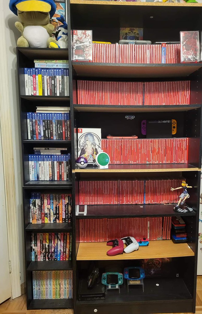 talesofkero's tweet photo. Over 300 physical switch games are now in my collection!
Switch collecting has been a main hobby in my life since the pandemic and I hope to continue it for the next few years #switchcorps #switchcollection #gamecollecting https://t.co/B1I52v7aUt