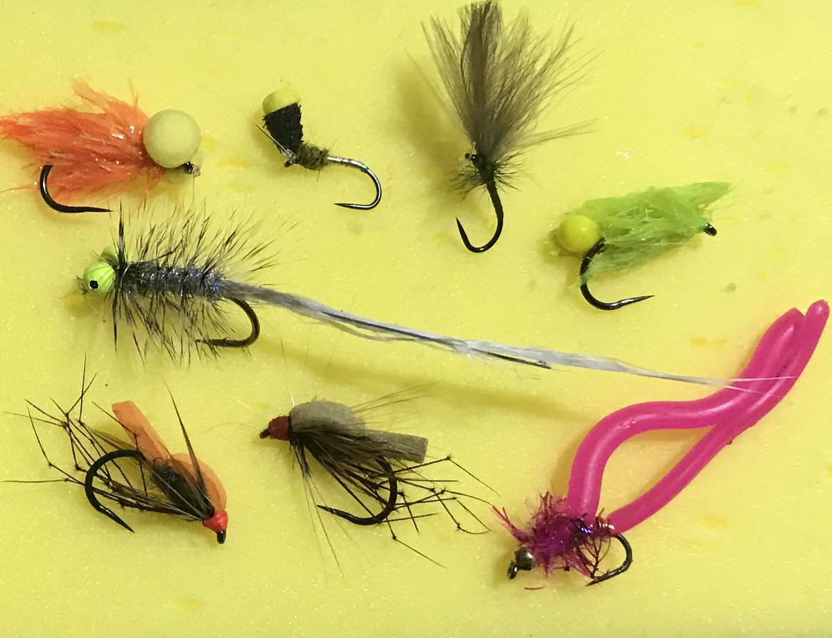 troutfishingman's tweet photo. Fished the Ressie today strange day managed 9 fish on 8 different flies couple on the dries to start and all different flies when the rain came 😃🎣🎣 https://t.co/0OwjSpJ8nT
