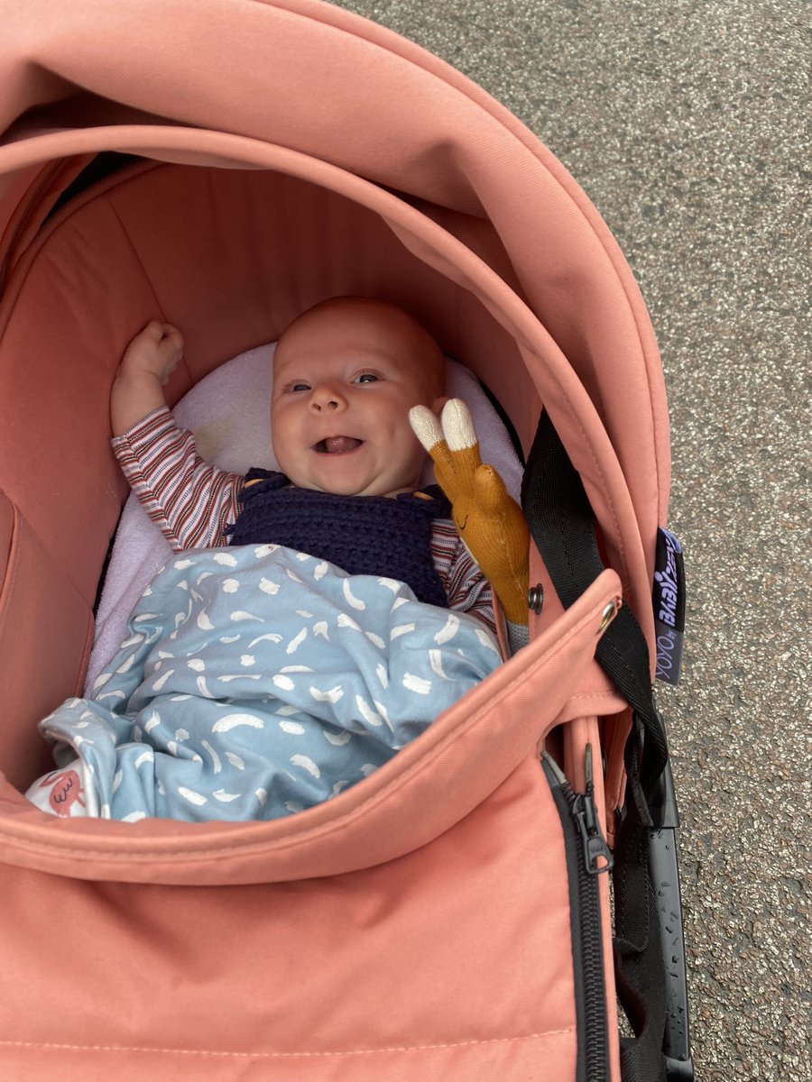 Marie Roulston tweet media