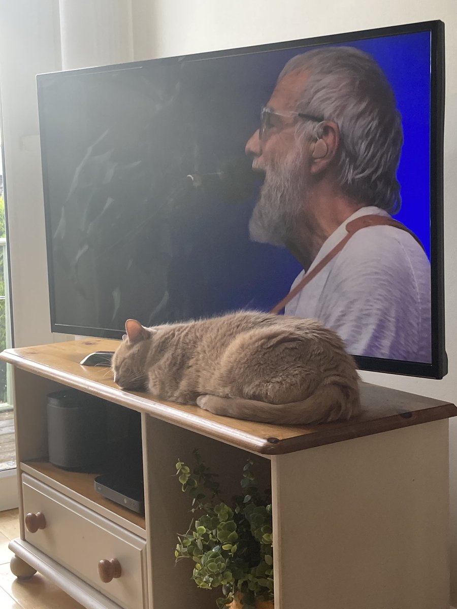 FiCallum's tweet photo. Enjoying #catstevens #glastonbury2023 https://t.co/PUDyxLzgfw