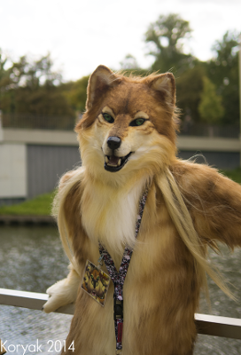 🌻 Fionnadh 🌻 tweet media