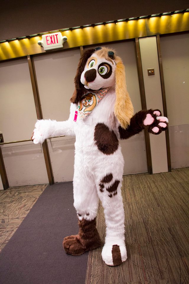 🌻 Fionnadh 🌻 tweet media