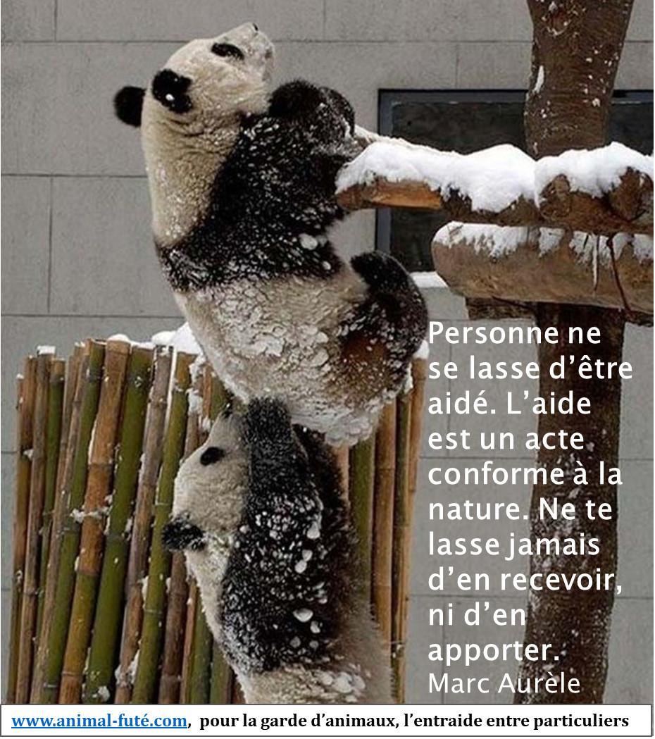 AnimalFute's tweet photo. https://t.co/HFJHUh6ZyB
#FaireGarderSonAnimalGratuitementParUnParticulier  #Entraide https://t.co/cEL4P1ytua