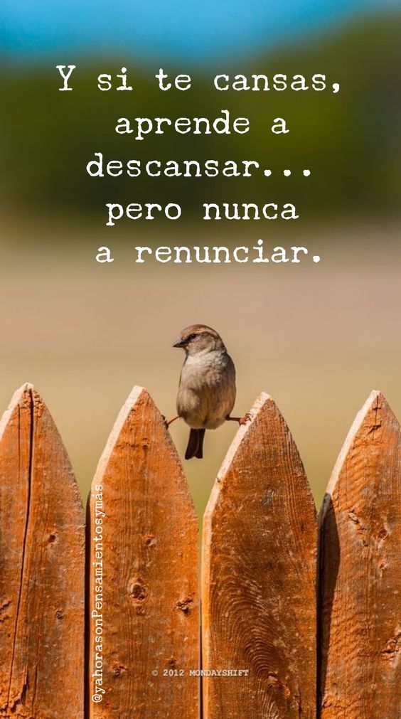 EscueladeVida21's tweet photo. https://t.co/IDuTMQw8in