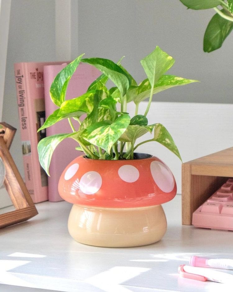 mushroom planter 🎀