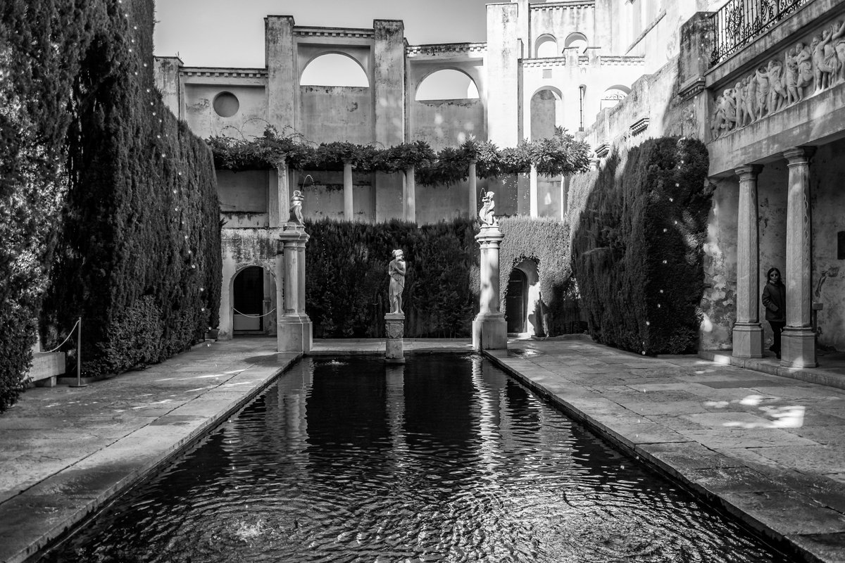 #originalphoto #photography #nikonphotography #urbanphotography #Granada #streetphoto #architecturephotography #streetphotography #blackandwhitephotography #blackandwhitephoto 
Jardín de Venus