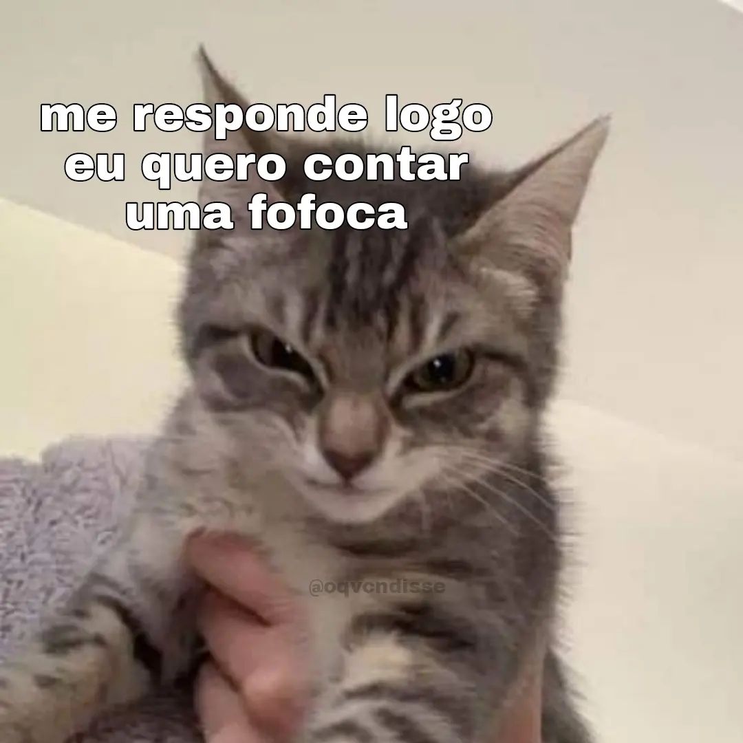 animaisfrases_'s tweet photo. https://t.co/mYYyAz0RLU