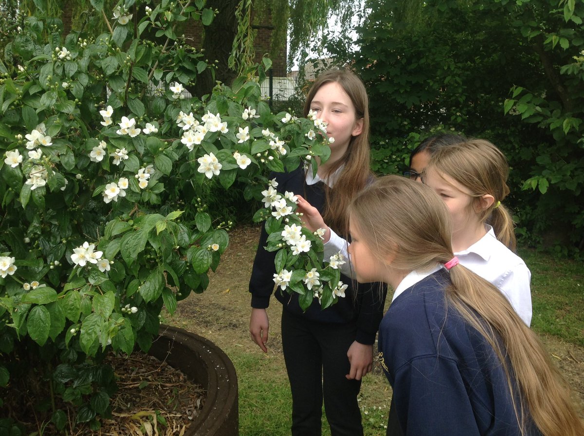 Charlotte Morris tweet media